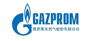 俄罗斯天然气股份有限公司